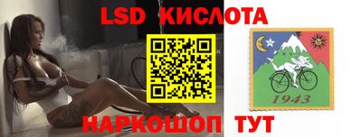 стаф Берёзовский