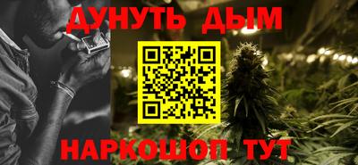 spice Бийск