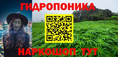 стаф Берёзовский
