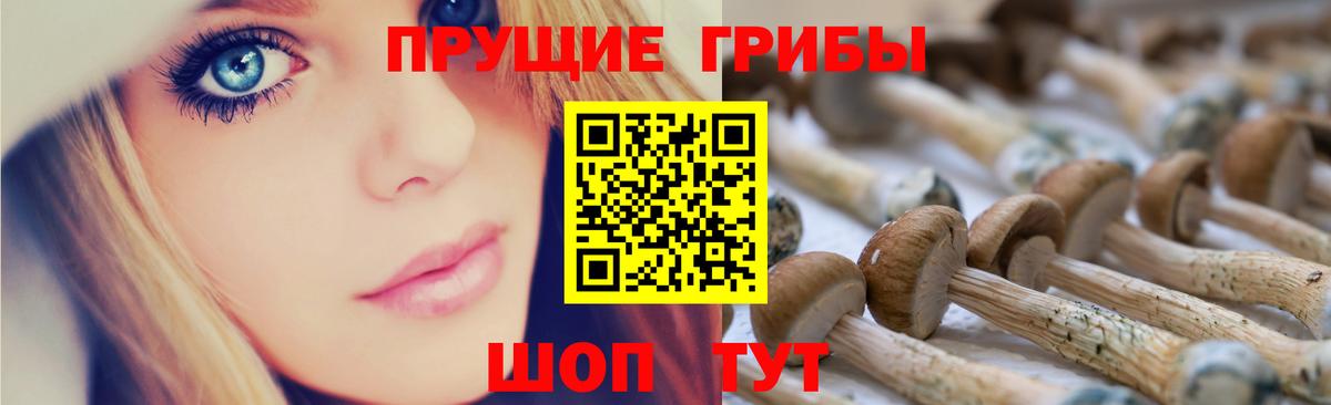 цены   Галлюциногенные грибы Psilocybine cubensis  Галлюциногенные грибы Cubensis  Вход с VPN  Бугуруслан 